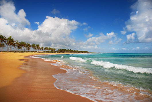 Exotic Beach in Punta cana Wall Mural