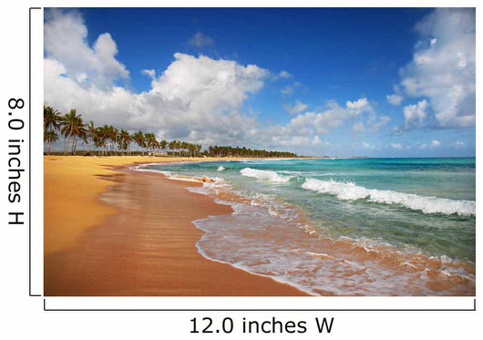 Exotic Beach in Punta cana Wall Mural