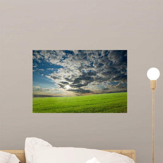 Sunset Over Green Crops Wall Mural