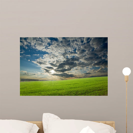 Sunset Over Green Crops Wall Mural