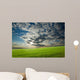 Sunset Over Green Crops Wall Mural