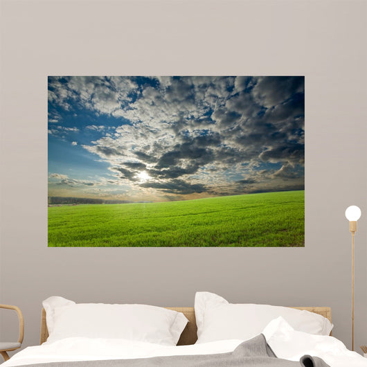 Sunset Over Green Crops Wall Mural