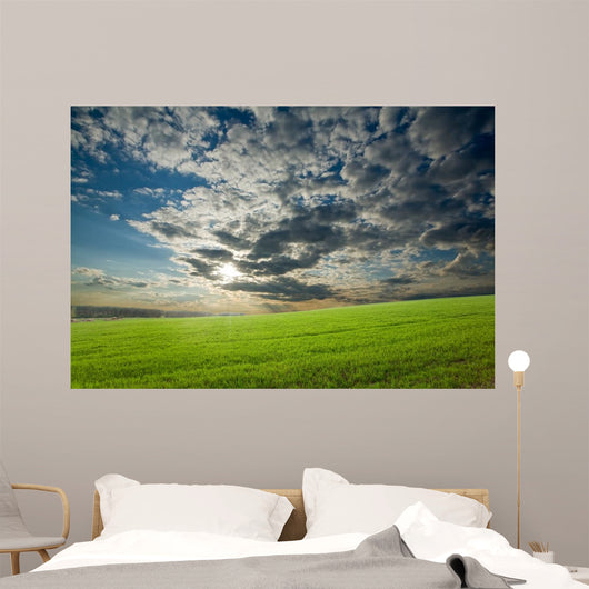 Sunset Over Green Crops Wall Mural