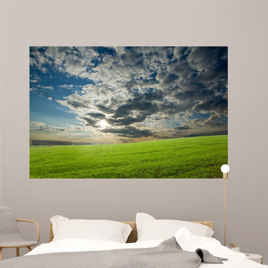 Sunset Over Green Crops Wall Mural