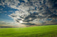 Sunset Over Green Crops Wall Mural