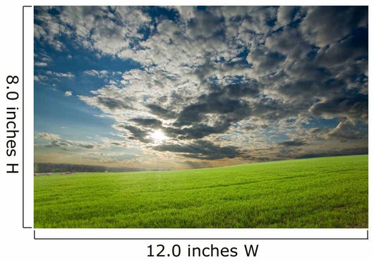 Sunset Over Green Crops Wall Mural