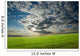 Sunset Over Green Crops Wall Mural