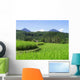 Reisfelder Bali Wall Decal Design 3