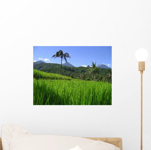 Reisfelder Bali Wall Decal Design 2