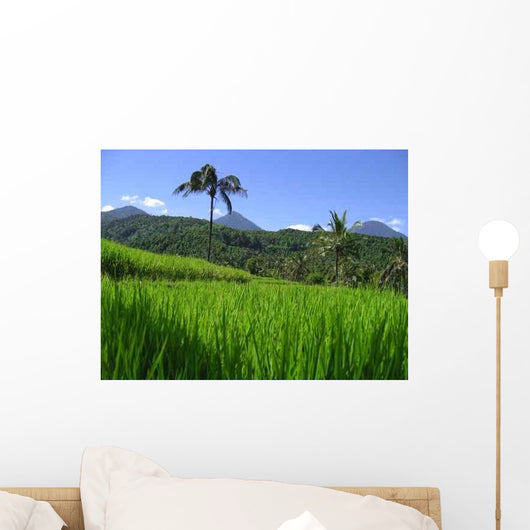 Reisfelder Bali Wall Decal Design 2