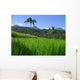 Reisfelder Bali Wall Decal Design 2