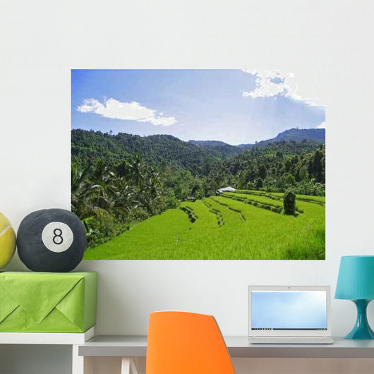 Reisfelder Bali Wall Decal Design 1