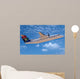 Airplane Wall Mural