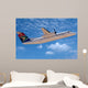 Airplane Wall Mural