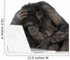 Chimpanzee playing with a laptop Wall Decal