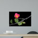 Camellia Wall Mural