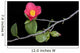Camellia Wall Mural