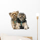 Yorkshire Terrier Wall Decal