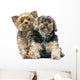 Yorkshire Terrier Wall Decal