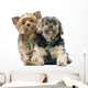 Yorkshire Terrier Wall Decal