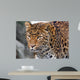 Jaguar Wall Mural