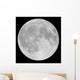 Moon Wall Decal Design 4