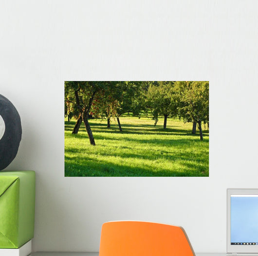 Orchard Wall Decal