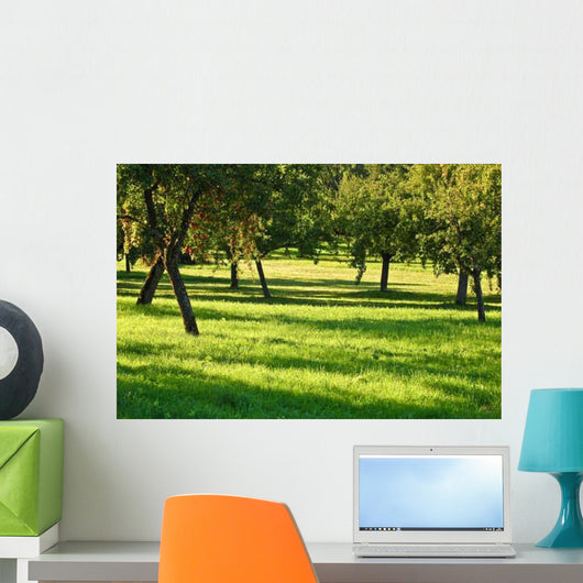 Orchard Wall Decal