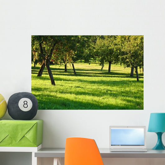 Orchard Wall Decal