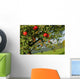 Apples Tree Wall Decal