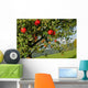Apples Tree Wall Decal