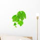 Grapevine Wall Decal