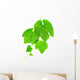 Grapevine Wall Decal