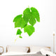 Grapevine Wall Decal
