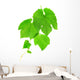 Grapevine Wall Decal