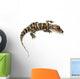 American alligator Wall Decal
