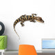 American alligator Wall Decal
