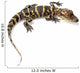 American alligator Wall Decal