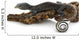 Blue Tree Monitor Lizard Wall Decal