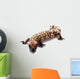 Gila monster Wall Decal