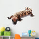 Gila monster Wall Decal