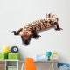 Gila monster Wall Decal