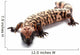 Gila monster Wall Decal