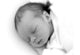 Sleeping Baby Wall Mural