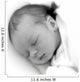 Sleeping Baby Wall Mural