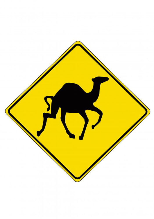 Camel - Road-Sign Wall Decal