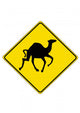 Camel - Road-Sign Wall Decal