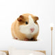 Guinea Pig Over White Wall Decal