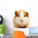 guineapig over white Wall Decal