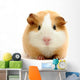 guineapig over white Wall Decal